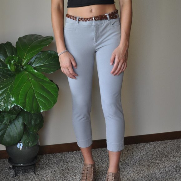Banana Republic Pants - Banana Republic Gray Stretchy Sloan Fit Pants SZ 6